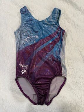 GK Disney Cinderella Leotard CM